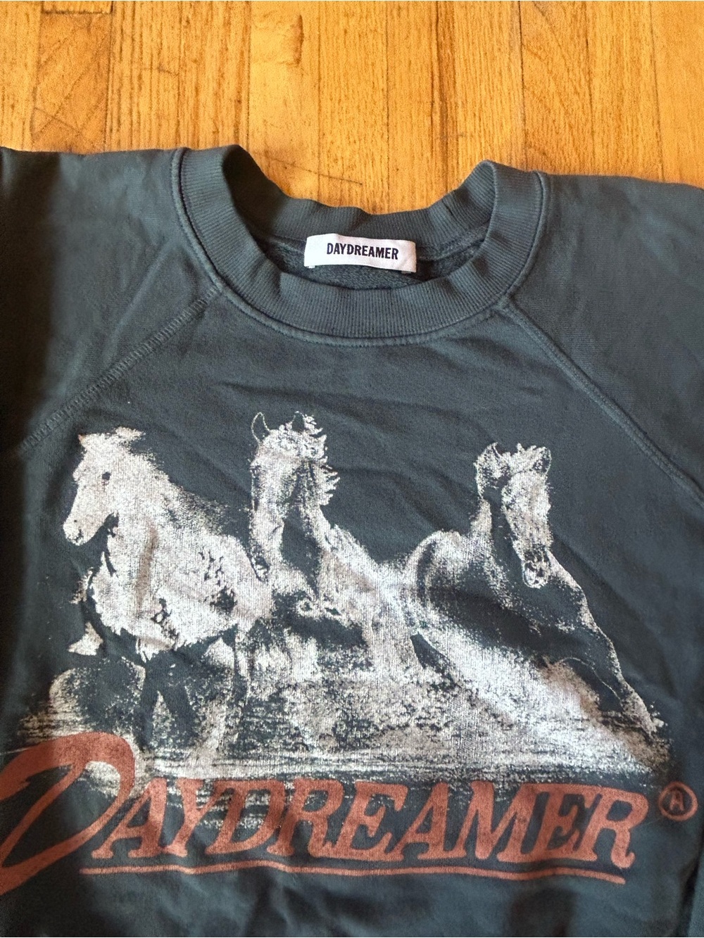 DAYDREAMER women’s grey/Black Graphic Sweatshirt - Galloping Horses - Picture 2 of 4